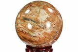 Colorful Petrified Wood Sphere - Madagascar #106986-1